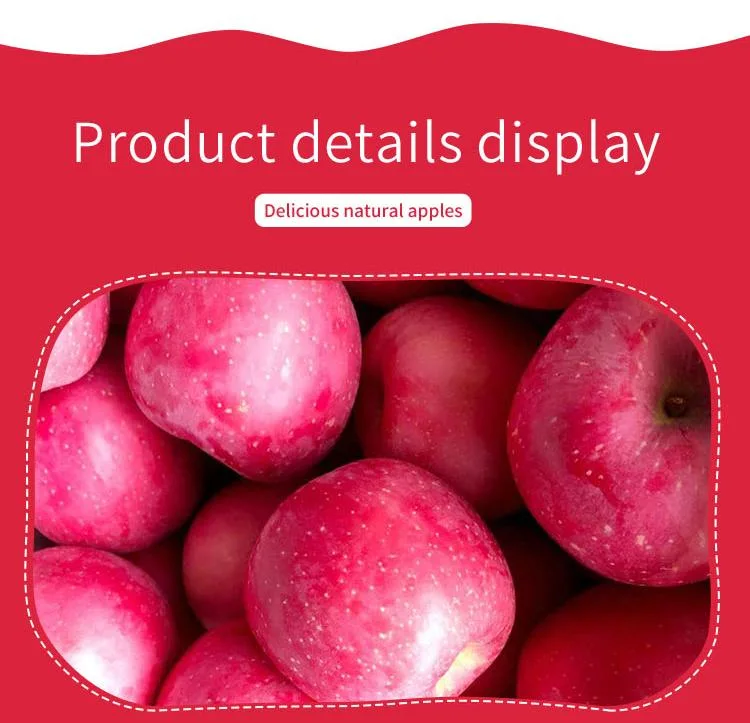 FUJI Red Fresh Apple China Origin Top Quality Rich Nutrition Good Price Free Sample