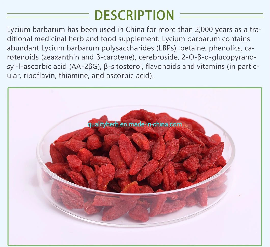 Natural Plant Extract Goji Extract